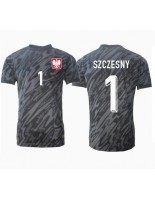 Moške Nogometnih dresov Poljska Wojciech Szczesny #1 Vratar Gostujoči EP 2024 Kratki rokavi